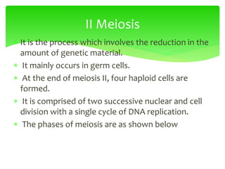  It is the process which involves the reduction in the
amount of genetic material.
 It mainly occurs in germ cells.
 At the end of meiosis II, four haploid cells are
formed.
 It is comprised of two successive nuclear and cell
division with a single cycle of DNA replication.
 The phases of meiosis are as shown below
II Meiosis
 