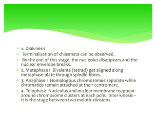 v. Diakinesis
 Terminalisation of chiasmata can be observed.
 By the end of this stage, the nucleolus disappears and the
nuclear envelope breaks.
 2. Metaphase I Bivalents (tetrad) get aligned along
metaphase plate through spindle fibres.
 3. Anaphase I Homologous chromosomes separate while
chromatids remain attached at their centromere.
 4. Telophase Nucleolus and nuclear membrane reappear
around chromosome clusters at each pole. Inter-kinesis –
It is the stage between two meiotic divisions.
 
