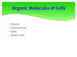  Proteins
 Carbohydrates
 Lipids
 Nucleic acids
Organic Molecules of Cells
 