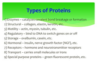 1) Enzymes – catalyzes covalent bond breakage or formation
2) Structural – collagen, elastin, keratin, etc.
3) Motility – actin, myosin, tubulin, etc.
4) Regulatory – bind to DNA to switch genes on or off
5) Storage – ovalbumin, casein, etc.
6) Hormonal – insulin, nerve growth factor (NGF), etc.
7) Receptors – hormone and neurotransmitter receptors
8) Transport – carries small molecules or irons
9) Special purpose proteins – green fluorescent protein, etc.
Types of Proteins
 
