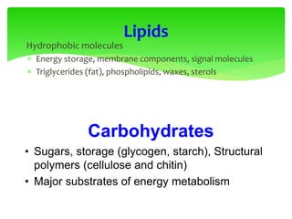  Hydrophobic molecules
 Energy storage, membrane components, signal molecules
 Triglycerides (fat), phospholipids, waxes, sterols
Lipids
• Sugars, storage (glycogen, starch), Structural
polymers (cellulose and chitin)
• Major substrates of energy metabolism
Carbohydrates
 