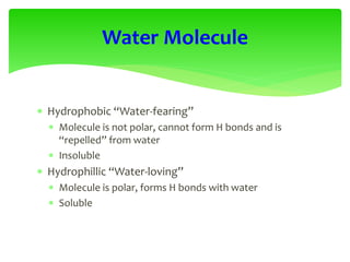 Hydrophobic “Water-fearing”
 Molecule is not polar, cannot form H bonds and is
“repelled” from water
 Insoluble
 Hydrophillic “Water-loving”
 Molecule is polar, forms H bonds with water
 Soluble
Water Molecule
 