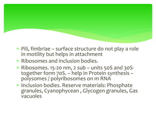  Pili, fimbriae – surface structure do not play a role
in motility but helps in attachment
 Ribosomes and inclusion bodies.
 Ribosomes. 15-20 nm, 2 sub – units 50S and 30S-
together form 70S. – help in Protein synthesis –
polysomes / polyribosomes on m RNA
 Inclusion bodies. Reserve materials: Phosphate
granules, Cyanophycean , Glycogen granules, Gas
vacuoles
 