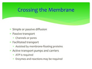  Simple or passive diffusion
 Passive transport
 Channels or pores
 Facilitated transport
 Assisted by membrane-floating proteins
 Active transport pumps and carriers
 ATP is required
 Enzymes and reactions may be required
Crossing the Membrane
 