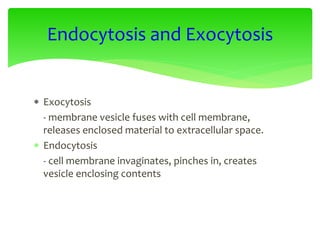  Exocytosis
- membrane vesicle fuses with cell membrane,
releases enclosed material to extracellular space.
 Endocytosis
- cell membrane invaginates, pinches in, creates
vesicle enclosing contents
Endocytosis and Exocytosis
 