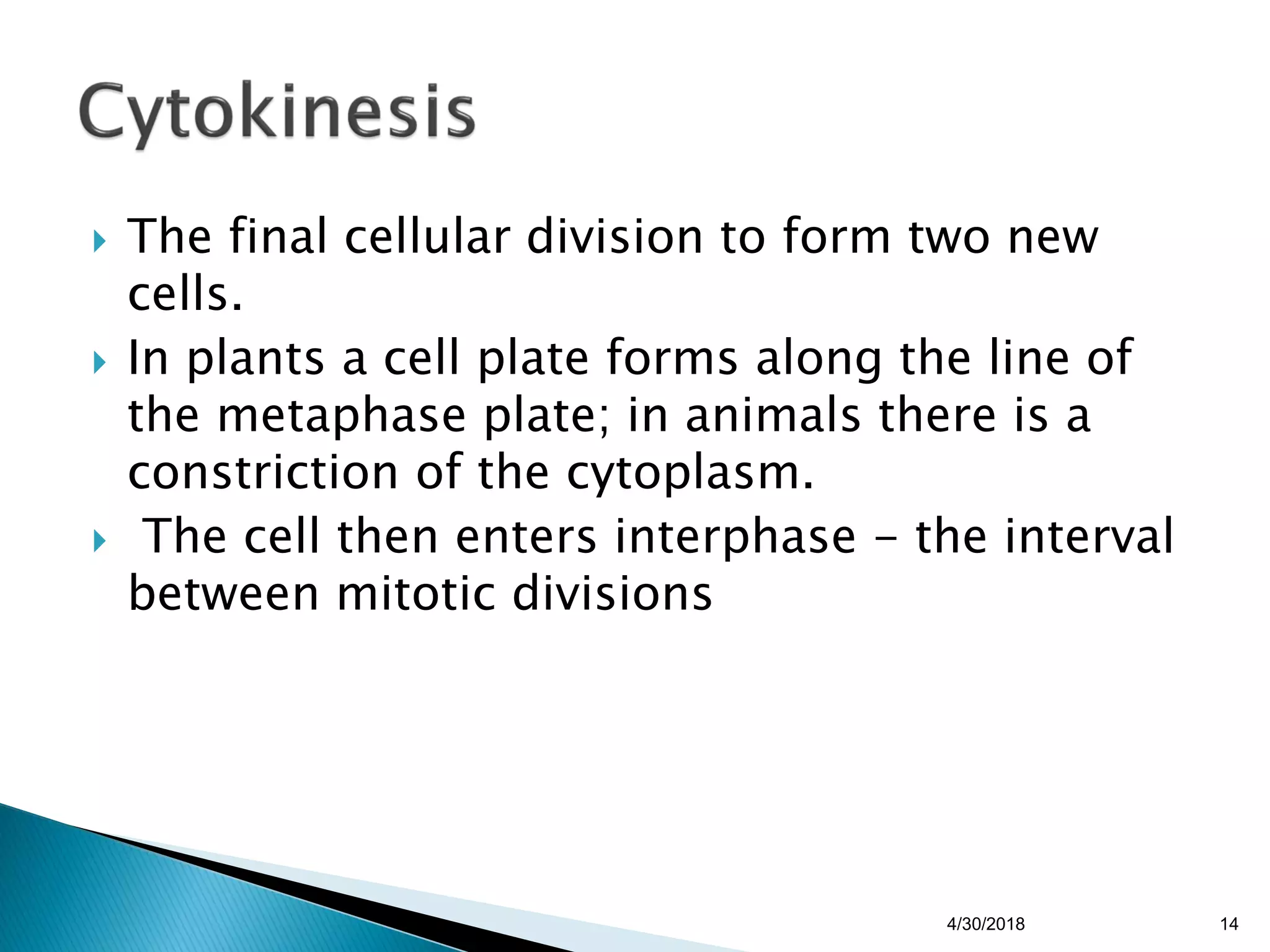  The final cellular division to form two new
cells.
 In plants a cell plate forms along the line of
the metaphase plate; in animals there is a
constriction of the cytoplasm.
 The cell then enters interphase - the interval
between mitotic divisions
4/30/2018 14
 