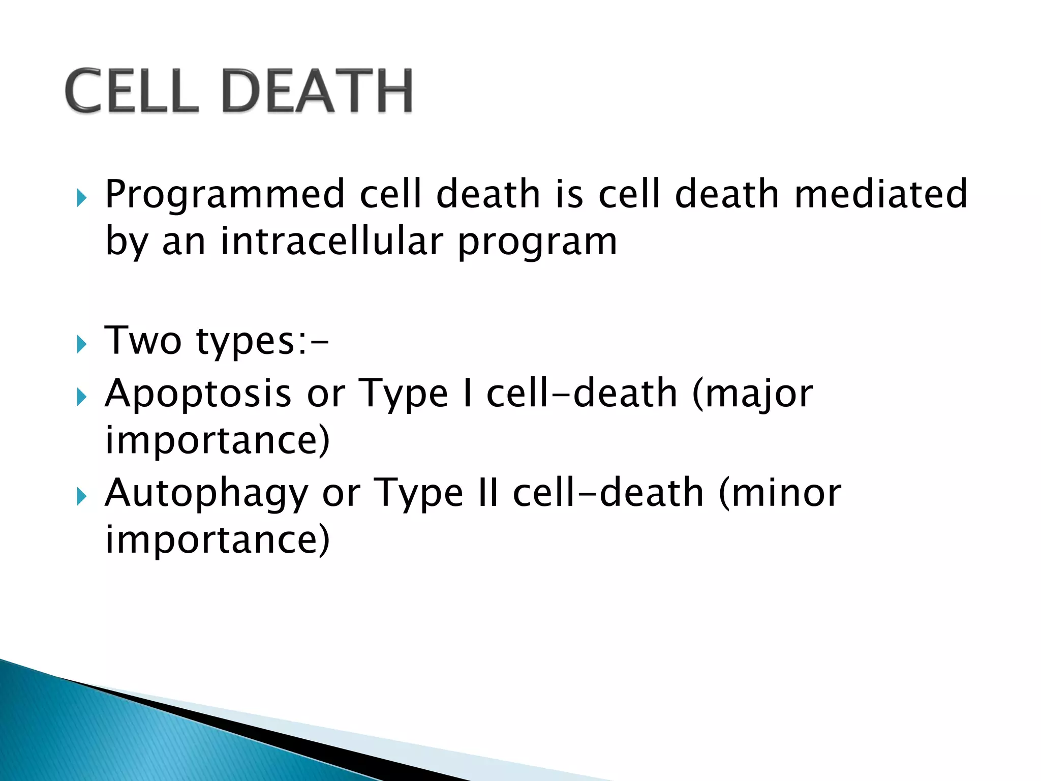  Programmed cell death is cell death mediated
by an intracellular program
 Two types:-
 Apoptosis or Type I cell-death (major
importance)
 Autophagy or Type II cell-death (minor
importance)
 