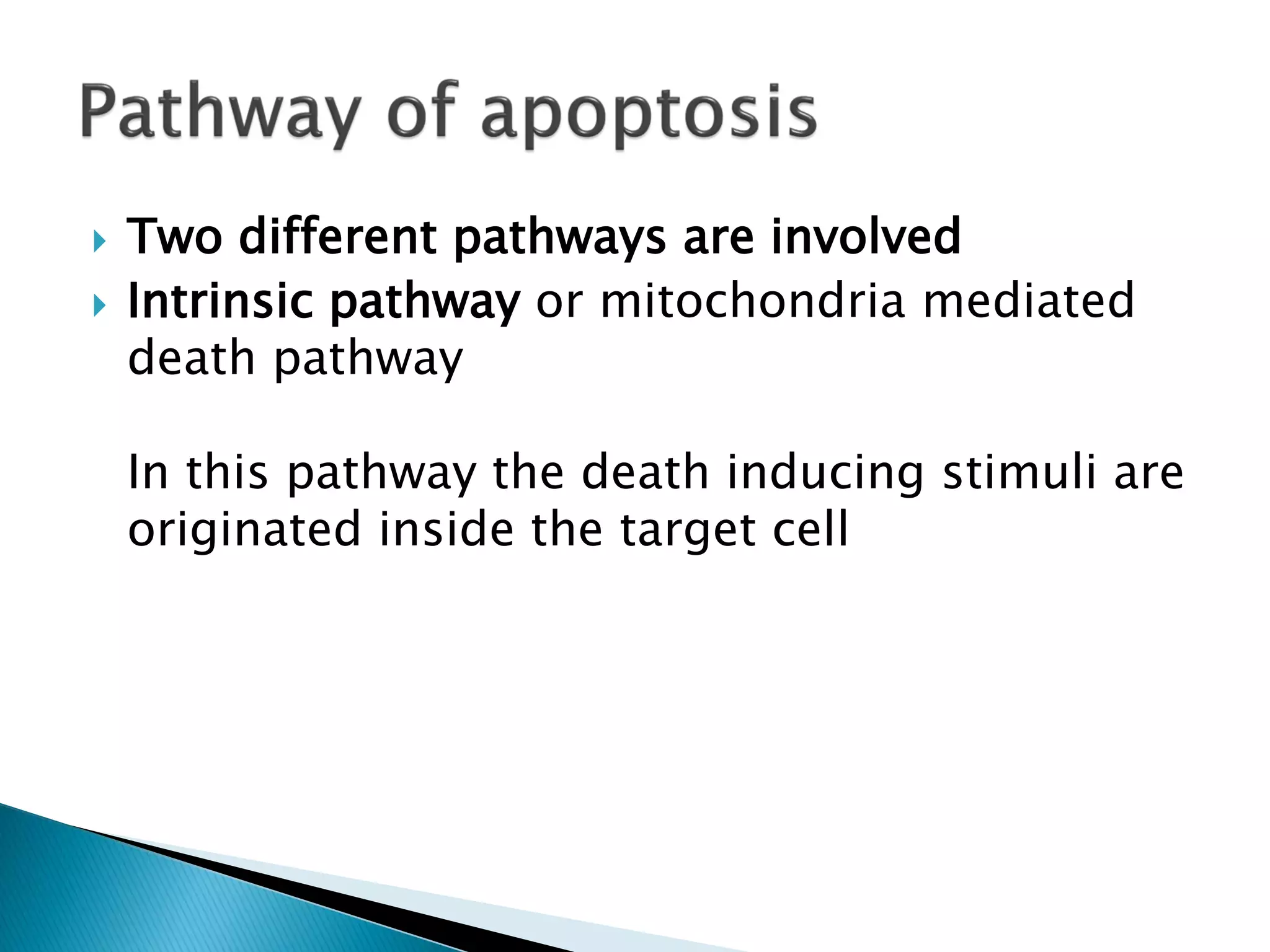  Two different pathways are involved
 Intrinsic pathway or mitochondria mediated
death pathway
In this pathway the death inducing stimuli are
originated inside the target cell
 