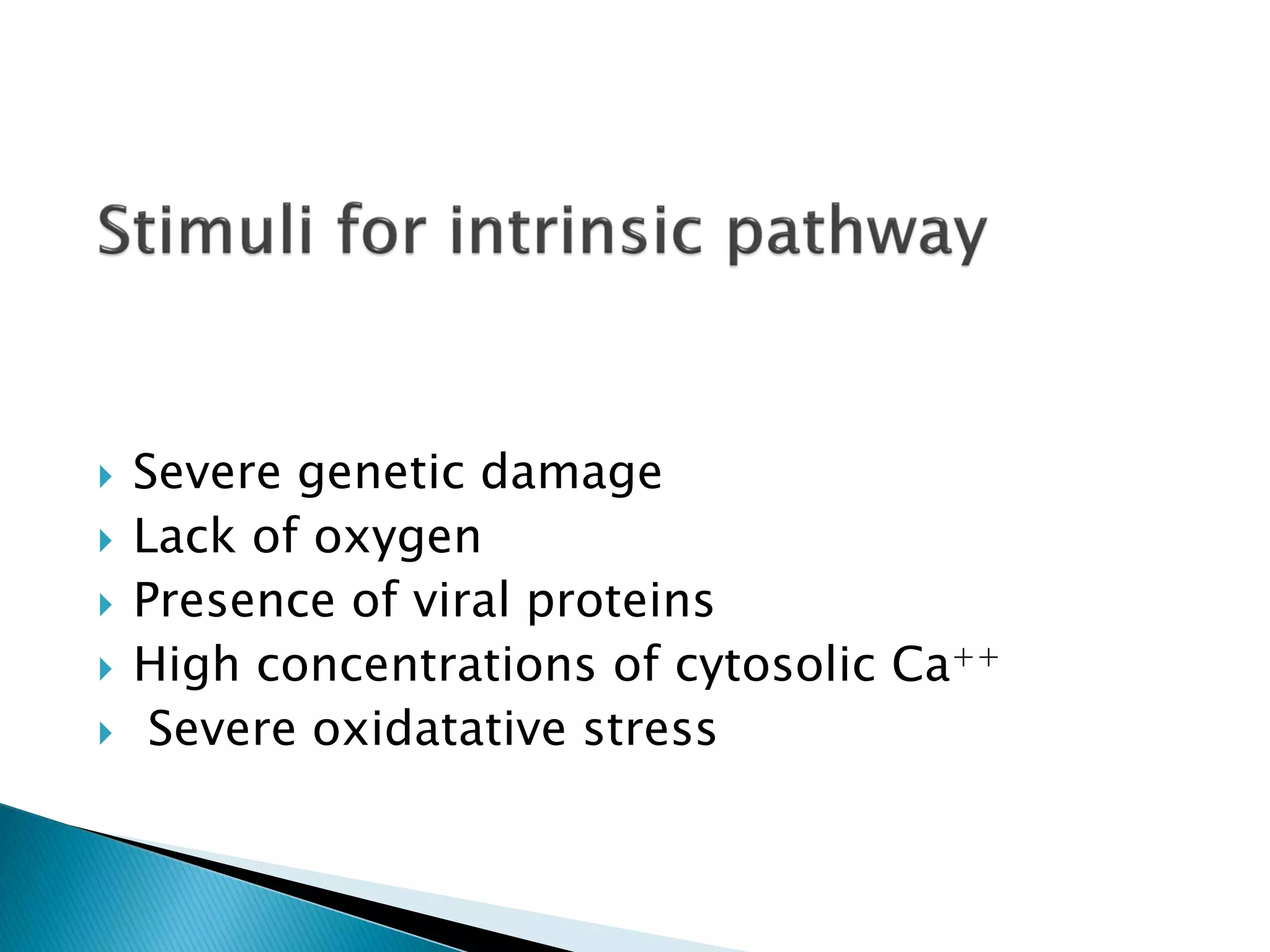  Severe genetic damage
 Lack of oxygen
 Presence of viral proteins
 High concentrations of cytosolic Ca++
 Severe oxidatative stress
 
