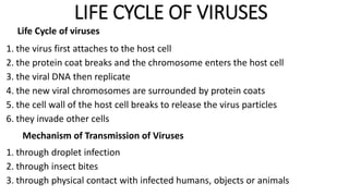 LIFE CYCLE OF VIRUSES
Life Cycle of viruses
1. the virus first attaches to the host cell
2. the protein coat breaks and the chromosome enters the host cell
3. the viral DNA then replicate
4. the new viral chromosomes are surrounded by protein coats
5. the cell wall of the host cell breaks to release the virus particles
6. they invade other cells
Mechanism of Transmission of Viruses
1. through droplet infection
2. through insect bites
3. through physical contact with infected humans, objects or animals
 