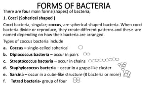 FORMS OF BACTERIAThere are four main forms(shapes) of bacteria;
1. Cocci (Spherical shaped )
Cocci bacteria, singular; coccus, are spherical-shaped bacteria. When cocci
bacteria divide or reproduce, they create different patterns and these are
named depending on how their bacteria are arranged.
Types of coccus bacteria include
a. Coccus – single-celled spherical
b. Diplococcus bacteria – occur in pairs
c. Streptococcus bacteria – occur in chains
d. Staphylococcus bacteria – occur in a grape-like cluster
e. Sarcina – occur in a cube-like structure (8 bacteria or more)
f. Tetrad bacteria- group of four
 
