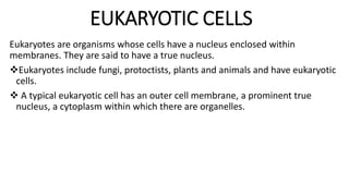 EUKARYOTIC CELLS
Eukaryotes are organisms whose cells have a nucleus enclosed within
membranes. They are said to have a true nucleus.
Eukaryotes include fungi, protoctists, plants and animals and have eukaryotic
cells.
 A typical eukaryotic cell has an outer cell membrane, a prominent true
nucleus, a cytoplasm within which there are organelles.
 
