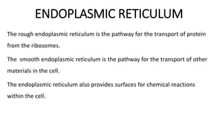 ENDOPLASMIC RETICULUM
The rough endoplasmic reticulum is the pathway for the transport of protein
from the ribosomes.
The smooth endoplasmic reticulum is the pathway for the transport of other
materials in the cell.
The endoplasmic reticulum also provides surfaces for chemical reactions
within the cell.
 