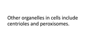Other organelles in cells include
centrioles and peroxisomes.
 