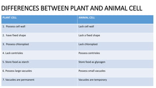 DIFFERENCES BETWEEN PLANT AND ANIMAL CELL
PLANT CELL ANIMAL CELL
1. Possess cell wall Lack cell wall
2. have fixed shape Lack a fixed shape
3. Possess chloroplast Lack chloroplast
4. Lack centrioles Possess centrioles
5. Store food as starch Store food as glycogen
6. Possess large vacuoles Possess small vacuoles
7. Vacuoles are permanent Vacuoles are temporary
 