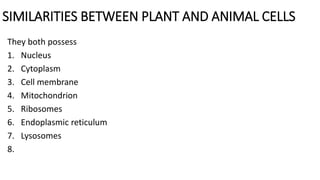 SIMILARITIES BETWEEN PLANT AND ANIMAL CELLS
They both possess
1. Nucleus
2. Cytoplasm
3. Cell membrane
4. Mitochondrion
5. Ribosomes
6. Endoplasmic reticulum
7. Lysosomes
8.
 