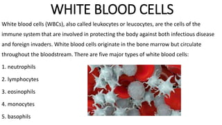 WHITE BLOOD CELLS
White blood cells (WBCs), also called leukocytes or leucocytes, are the cells of the
immune system that are involved in protecting the body against both infectious disease
and foreign invaders. White blood cells originate in the bone marrow but circulate
throughout the bloodstream. There are five major types of white blood cells:
1. neutrophils
2. lymphocytes
3. eosinophils
4. monocytes
5. basophils
 