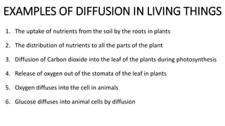 EXAMPLES OF DIFFUSION IN LIVING THINGS
1. The uptake of nutrients from the soil by the roots in plants
2. The distribution of nutrients to all the parts of the plant
3. Diffusion of Carbon dioxide into the leaf of the plants during photosynthesis
4. Release of oxygen out of the stomata of the leaf in plants
5. Oxygen diffuses into the cell in animals
6. Glucose diffuses into animal cells by diffusion
 