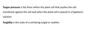 Turgor pressure is the force within the plant cell that pushes the cell
membrane against the cell wall when the plant cell is placed in a hypotonic
solution.
Turgidity is the state of a cell being turgid or swollen.
 