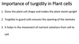 Importance of turgidity in Plant cells
1. Gives the plant cell shape and makes the plant stand upright
2. Turgidity in guard cells ensures the opening of the stomata
3. It helps in the movement of nutrient solutions from cell to
cell
 