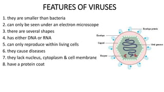 FEATURES OF VIRUSES
1. they are smaller than bacteria
2. can only be seen under an electron microscope
3. there are several shapes
4. has either DNA or RNA
5. can only reproduce within living cells
6. they cause diseases
7. they lack nucleus, cytoplasm & cell membrane
8. have a protein coat
 
