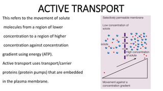 ACTIVE TRANSPORT
This refers to the movement of solute
molecules from a region of lower
concentration to a region of higher
concentration against concentration
gradient using energy (ATP).
Active transport uses transport/carrier
proteins (protein pumps) that are embedded
in the plasma membrane.
 