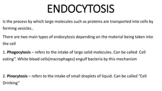 ENDOCYTOSIS
Is the process by which large molecules such as proteins are transported into cells by
forming vesicles..
There are two main types of endocytosis depending on the material being taken into
the cell
1. Phagocytosis – refers to the intake of large solid molecules. Can be called Cell
eating”. White blood cells(macrophages) engulf bacteria by this mechanism
2. Pinocytosis – refers to the intake of small droplets of liquid. Can be called ”Cell
Drinking”
 