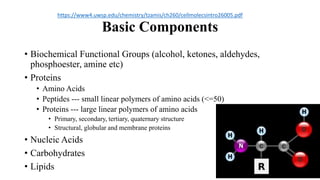Basic Components
• Biochemical Functional Groups (alcohol, ketones, aldehydes,
phosphoester, amine etc)
• Proteins
• Amino Acids
• Peptides --- small linear polymers of amino acids (<=50)
• Proteins --- large linear polymers of amino acids
• Primary, secondary, tertiary, quaternary structure
• Structural, globular and membrane proteins
• Nucleic Acids
• Carbohydrates
• Lipids
https://www4.uwsp.edu/chemistry/tzamis/ch260/cellmolecsintro26005.pdf
 
