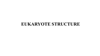 EUKARYOTE STRUCTURE
 