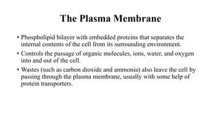 The Plasma Membrane
• Phospholipid bilayer with embedded proteins that separates the
internal contents of the cell from its surrounding environment.
• Controls the passage of organic molecules, ions, water, and oxygen
into and out of the cell.
• Wastes (such as carbon dioxide and ammonia) also leave the cell by
passing through the plasma membrane, usually with some help of
protein transporters.
 
