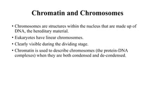 Chromatin and Chromosomes
• Chromosomes are structures within the nucleus that are made up of
DNA, the hereditary material.
• Eukaryotes have linear chromosomes.
• Clearly visible during the dividing stage.
• Chromatin is used to describe chromosomes (the protein-DNA
complexes) when they are both condensed and de-condensed.
 