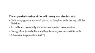 The expanded version of the cell theory can also include:
• Cells carry genetic material passed to daughter cells during cellular
division
• All cells are essentially the same in chemical composition
• Energy flow (metabolism and biochemistry) occurs within cells
• Adenosine tri phosphate (ATP)
 