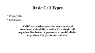 Basic Cell Types
• Prokaryotes
• Eukaryotes
‘Cells’ are considered as the structural and
functional unit of life, whether it’s a single cell
organism like bacteria, protozoa, or multicellular
organisms like plants and animals.
 