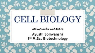 CELL BIOLOGY
Microtubules and MAPs
Ayushi Somvanshi
1st M.Sc. Biotechnology
 