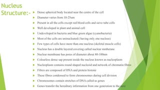 Nucleus
Structure:-  Dense spherical body located near the centre of the cell
 Diameter varies from 10-25um
 Present in all the cells except red blood cells and sieve tube cells
 Well developed in plant and animal cell
 Undeveloped in bacteria and blue green algae (cyanobacteria)
 Most of the cells are uninucleated ( having only one nucleus)
 Few types of cells have more than one nucleus (skeletal muscle cells)
 Nucleus has a double layered covering called nuclear mmberane
 Nuclear membrane has pores of diameter about 80-100nm
 Colourless dense sap present inside the nucleus known as nucleoplasm
 Nucleoplasm contains round shaped nucleoid and network of chromatin fibres
 Fibres are composed of DNA and protein histone
 These fibres condensed to form chromosomes during cell division
 Chromosomes contain stretches of DNA called as genes
 Genes transfer the hereditary information from one generation to the next
 