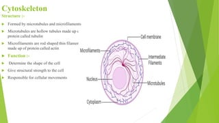 Cytoskeleton
Structure :-
 Formed by microtubules and microfilaments
 Microtubules are hollow tubules made up of
protein called tubulin
 Microfilaments are rod shaped thin filaments
made up of protein called actin
 Function :-
 Determine the shape of the cell
 Give structural strength to the cell
 Responsible for cellular movements
 