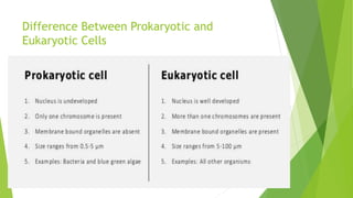Difference Between Prokaryotic and
Eukaryotic Cells
 