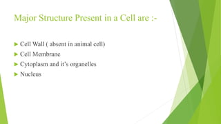 Major Structure Present in a Cell are :-
 Cell Wall ( absent in animal cell)
 Cell Membrane
 Cytoplasm and it’s organelles
 Nucleus
 