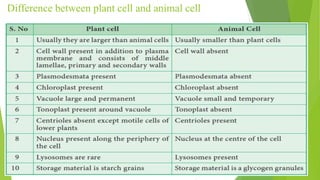 Difference between plant cell and animal cell
 