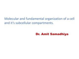 Molecular and fundamental organization of a cell
and it’s subcellular compartments.
Dr. Amit Samadhiya
 