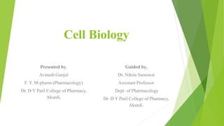 Cell Biology
Presented by,
Avinash Gunjal
F. Y. M-pharm (Pharmacology)
Dr. D Y Patil College of Pharmacy,
Akurdi.
Guided by,
Dr. Nikita Saraswat
Assistant Professor
Dept. of Pharmacology
Dr. D Y Patil College of Pharmacy,
Akurdi.
 