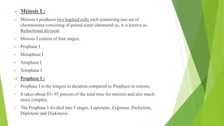 ➢ Meiosis I :
✓ Meiosis I produces two haploid cells each containing one set of
chromosome consisting of paired sister chromatid so, it is known as
Reductional division.
✓ Meiosis I consist of four stages,
▪ Prophase I
▪ Metaphase I
▪ Anaphase I
▪ Telophase I
❑ Prophase I :
✓ Prophase I is the longest in duration compared to Prophase in mitosis.
✓ It takes about 85- 95 percent of the total time for meiosis and also much
more complex.
✓ The Prophase I divided into 5 stages, Leptotene, Zygotene, Pachytene,
Diplotene and Diakinesis .
 