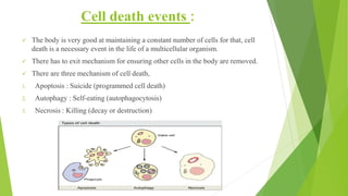 Cell death events :
✓ The body is very good at maintaining a constant number of cells for that, cell
death is a necessary event in the life of a multicellular organism.
✓ There has to exit mechanism for ensuring other cells in the body are removed.
✓ There are three mechanism of cell death,
1. Apoptosis : Suicide (programmed cell death)
2. Autophagy : Self-eating (autophagocytosis)
3. Necrosis : Killing (decay or destruction)
 