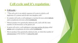 Cell cycle and it’s regulation :
 Cell cycle :
✓ “The cell cycle is an orderly sequence of events in which a cell
duplicates it’s content and divides into daughter cells”
✓ In somatic cell cycle, a cell undergoes a nuclear division called mitosis
and a cytoplasmic division called cytokinesis.
✓ Mitosis produce two genetically identical cells, each with the same
number of chromosomes as the parent cell.
✓ In germ cell cycle, a cell undergoes a two step nuclear division called
miosis and a cytoplasmic division called cytokinesis.
✓ Miosis produce four genetically identical cells, in which the number of
chromosomes in the nucleus is reduced by half.
 