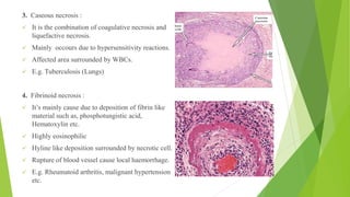 3. Caseous necrosis :
✓ It is the combination of coagulative necrosis and
liquefactive necrosis.
✓ Mainly occours due to hypersensitivity reactions.
✓ Affected area surrounded by WBCs.
✓ E.g. Tuberculosis (Lungs)
4. Fibrinoid necrosis :
✓ It’s mainly cause due to deposition of fibrin like
material such as, phosphotungistic acid,
Hematoxylin etc.
✓ Highly eosinophilic
✓ Hyline like deposition surrounded by necrotic cell.
✓ Rupture of blood vessel cause local haemorrhage.
✓ E.g. Rheumatoid arthritis, malignant hypertension
etc.
 