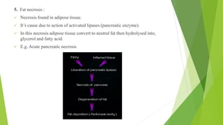 5. Fat necrosis :
✓ Necrosis found in adipose tissue.
✓ It’s cause due to action of activated lipases (pancreatic enzyme).
✓ In this necrosis adipose tissue convert to neutral fat then hydrolysed into,
glycerol and fatty acid.
✓ E.g. Acute pancreatic necrosis
 