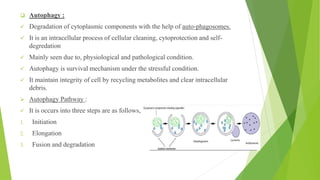 ❑ Autophagy :
✓ Degradation of cytoplasmic components with the help of auto-phagosomes.
✓ It is an intracellular process of cellular cleaning, cytoprotection and self-
degredation
✓ Mainly seen due to, physiological and pathological condition.
✓ Autophagy is survival mechanism under the stressful condition.
✓ It maintain integrity of cell by recycling metabolites and clear intracellular
debris.
➢ Autophagy Pathway :
✓ It is occurs into three steps are as follows,
1. Initiation
2. Elongation
3. Fusion and degradation
 