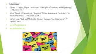 ➢ References :
1. Gerard J. Tortora, Bryan Derrickson, “Principles of Anatomy and Physiology”
15th Edition 2017.
2. Anne Waugh, Allison Grant, “Ross and Wilson Anatomy & Physiology” in
health and illness, 12th Edition, 2014.
3. Gerald karp, “Cell and Molecular Biology Concept And Experiment” 7th
Edition, 2016
4. www.Wikipedia.org
5. www.slideshare.net
 