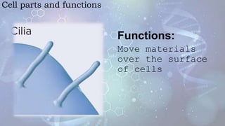 Anatomy and physniology: CELL BIOLOGY.pptx