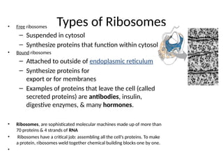Secreted Ribosomes Introduction to cell Biology and Cellular Organelles for students ...